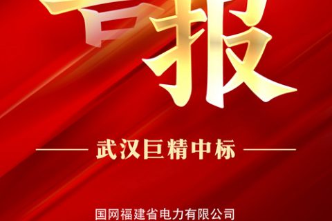 热烈祝贺凯时K66中标国网福建省电力有限公司2022年第一次非电网零星物资框架竞争性谈判采购项目